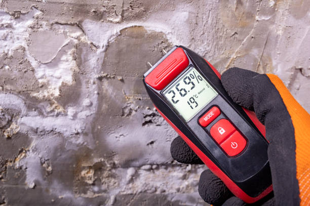Best Mold Cleaning Services  in Rosedale, MD