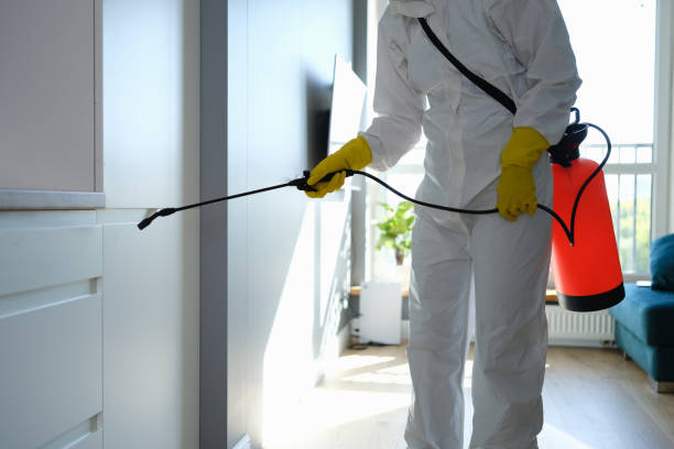 Best Emergency Mold Removal  in Rosedale, MD